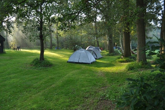 キャンプ場にテントが張ってある。芝生